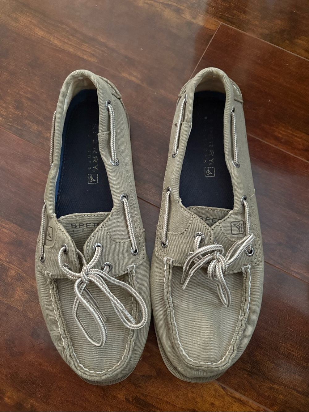 Sperry Men’s Taupe Canvas Slip-On Boat Shoes